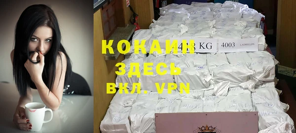 прущие крисы Абаза