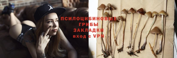 прущие крисы Абаза