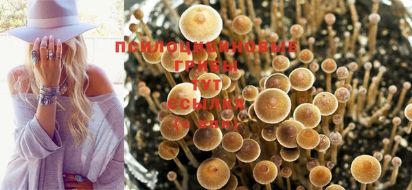 дурь Абинск